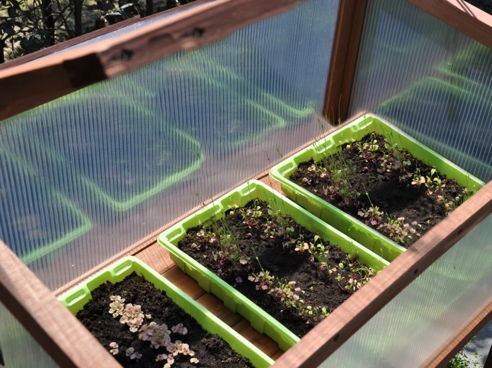 Royal Well Broeikas Red Leaf 90 x 45 cm - Afbeelding 3